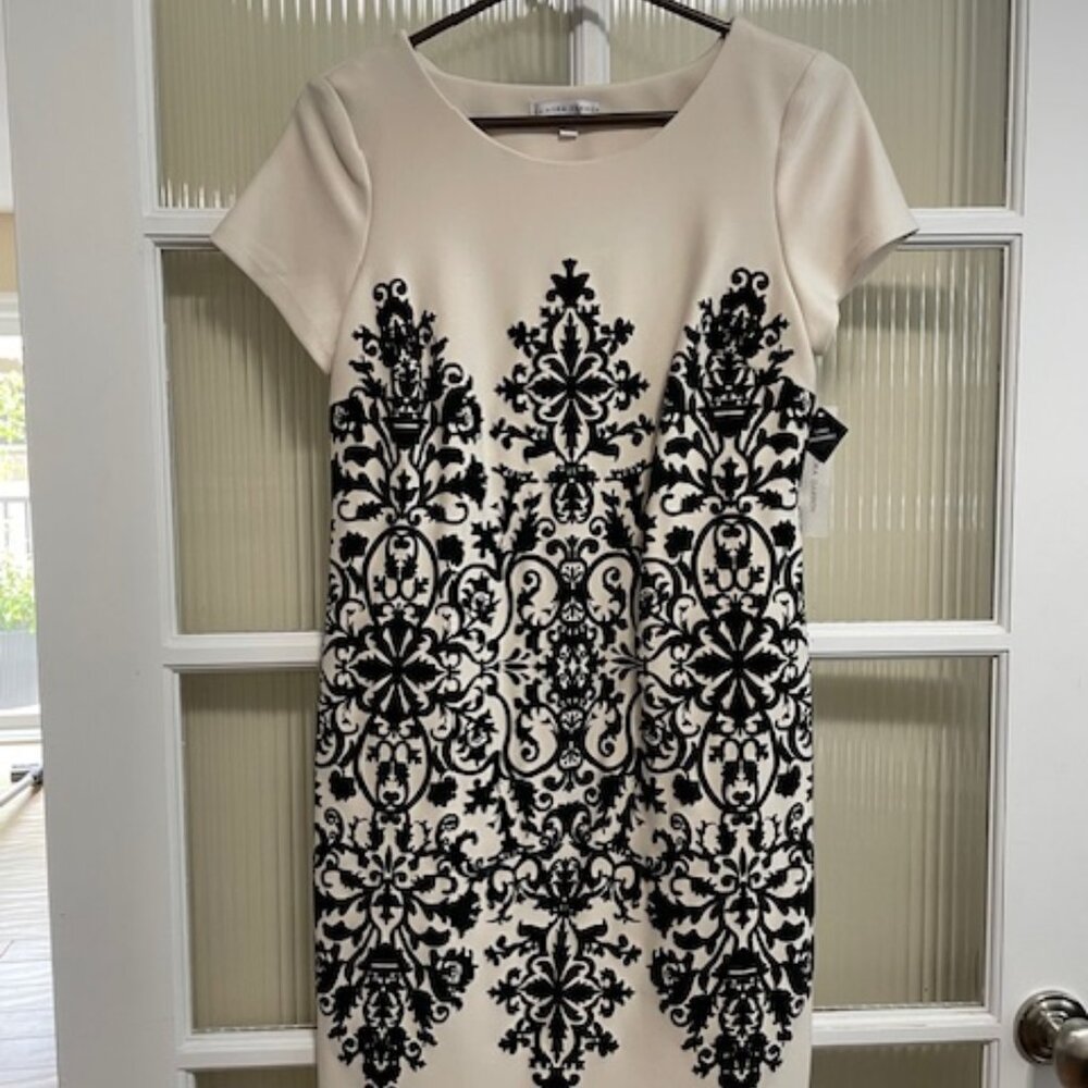 Women's Cream Dress with Black Velveteen Design